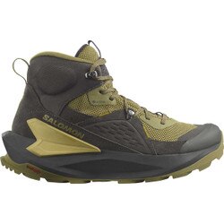 Salomon Elixir Mid GTX Shoe Men's in Black and Dried Herb and Southern Moss